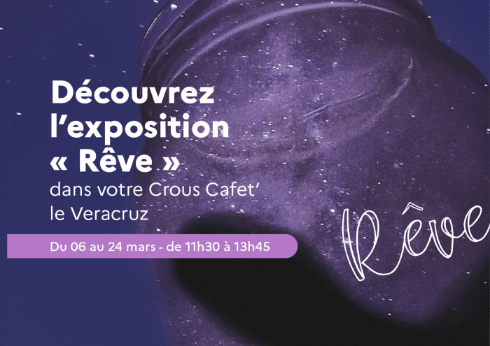 Itinérance de l'exposition Rêve 1 BANNIERE EXPO VERACRUZ REVE