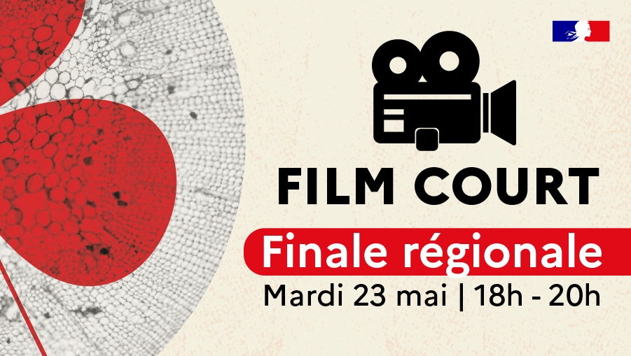 Finale Régionale Film Court le mardi 23 mai à Talence