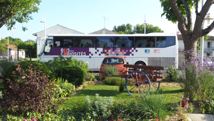 banniere le Bus des curiosites