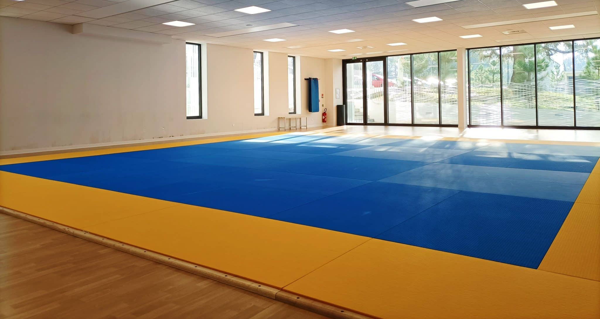 dojo Crous Relax 11292023 2 min scaled